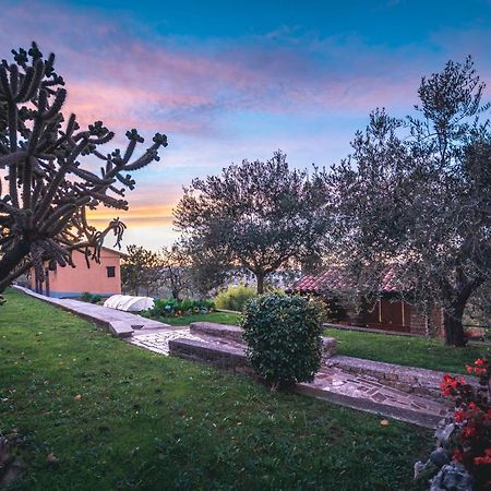 Guest House Nena Motovun Kültér fotó