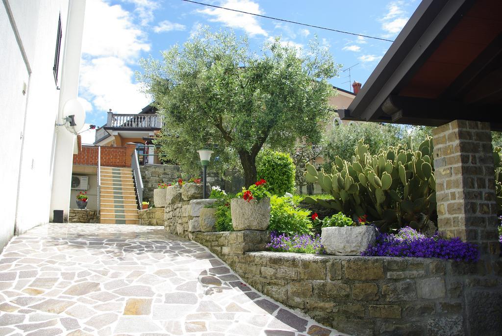 Guest House Nena Motovun Kültér fotó